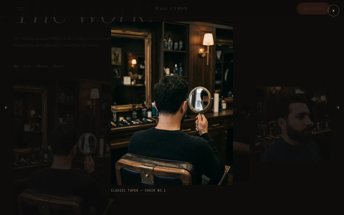 The Work lookbook with a photograph opened full-screen over the dimmed, filtered grid